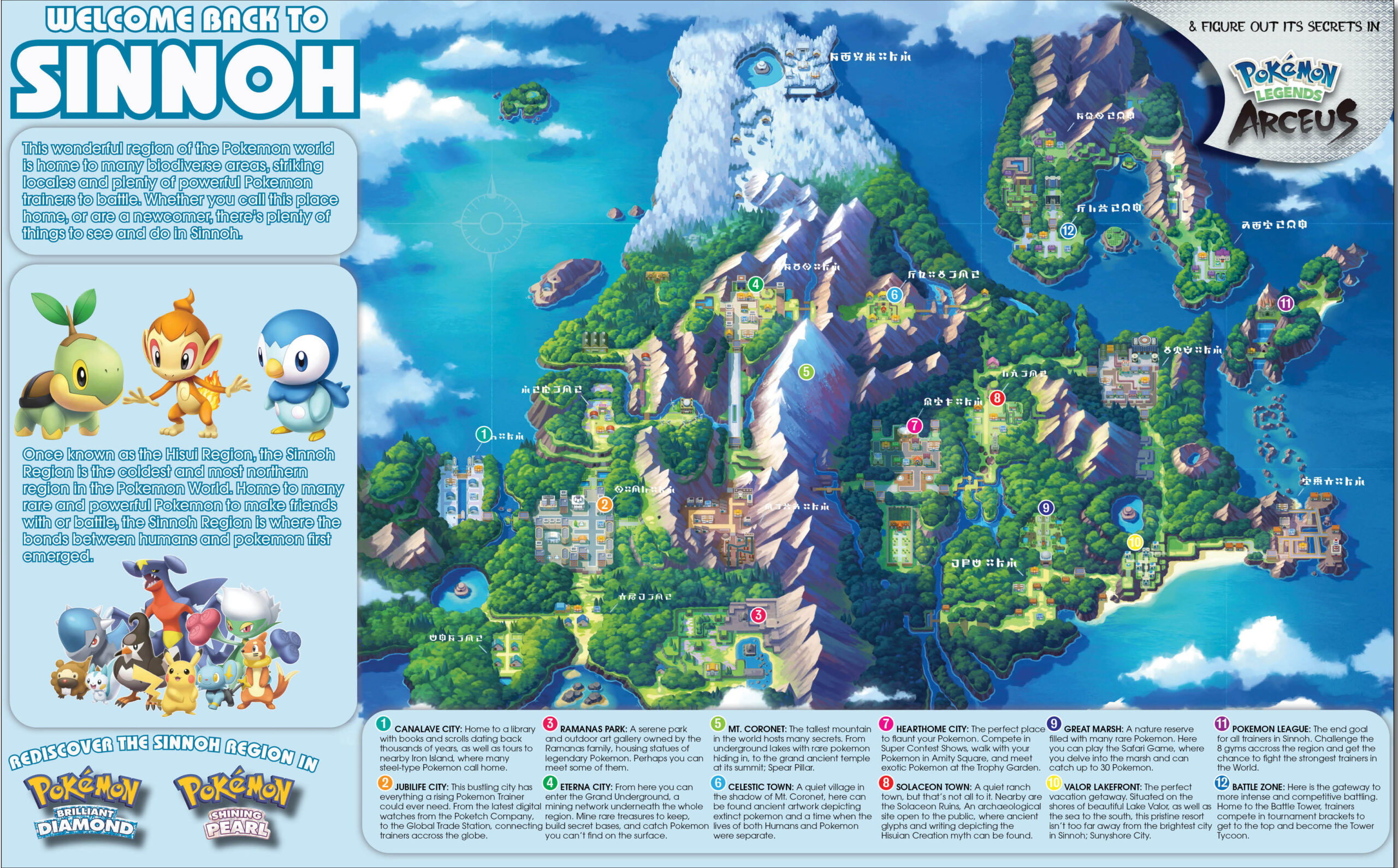 bdspinfographic